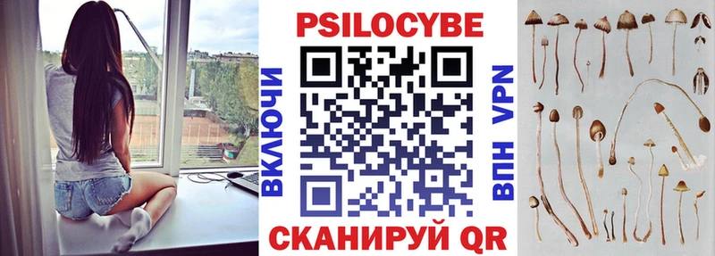 Галлюциногенные грибы Cubensis Жуков