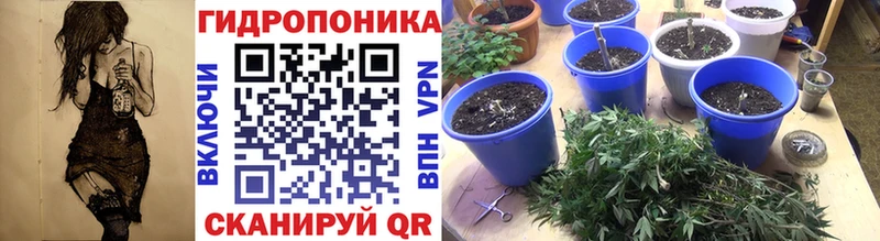 закладки  Жуков  Каннабис тримм 